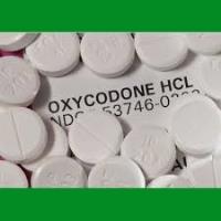 Buy Oxycodone Online With Prescription image 1